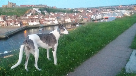  wee walks close to cottage on the cop